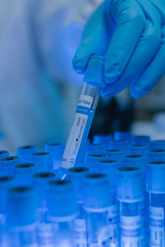 Sector Laboratorio